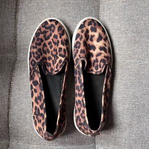 H&M Canvas shoes